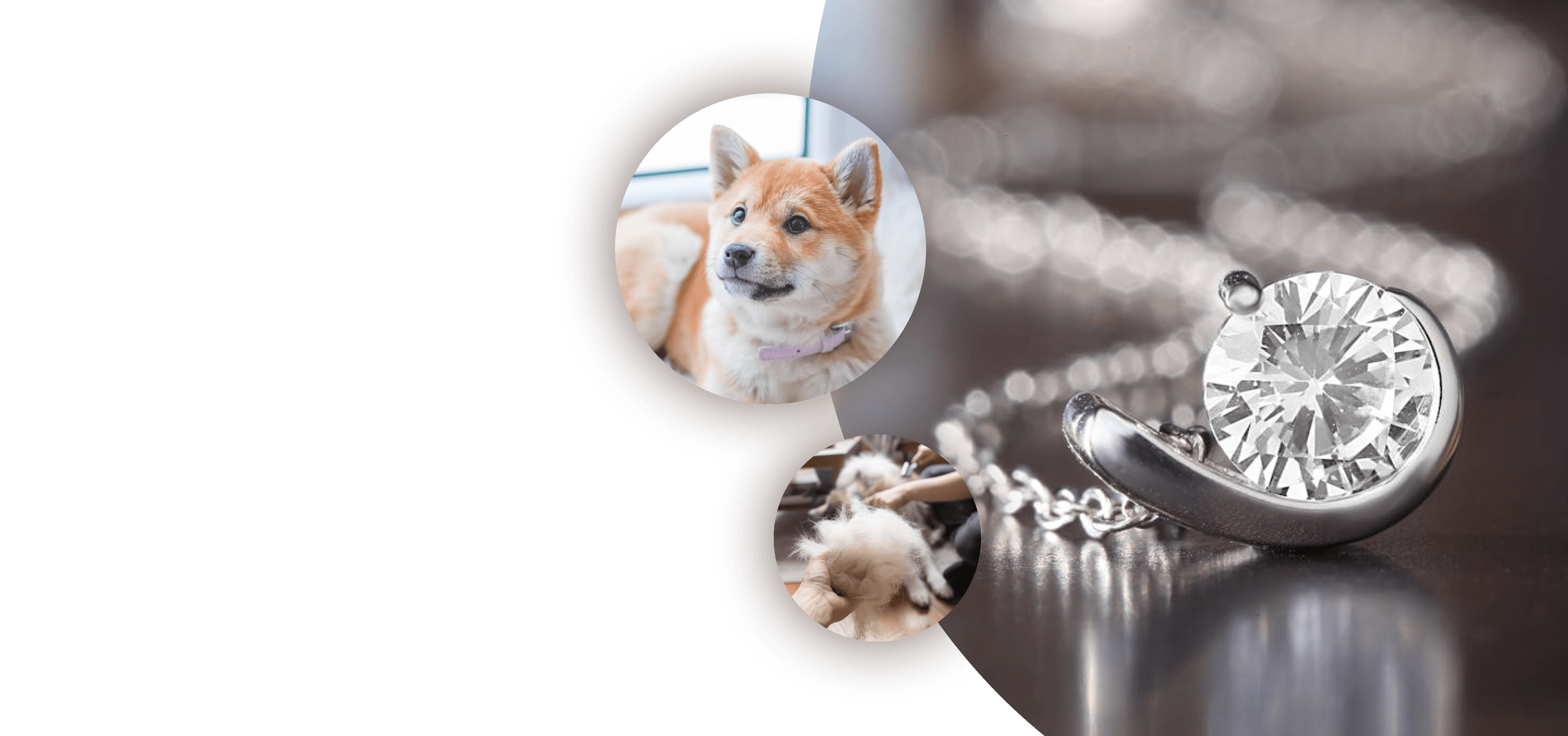 Furever Diamond Hero Image