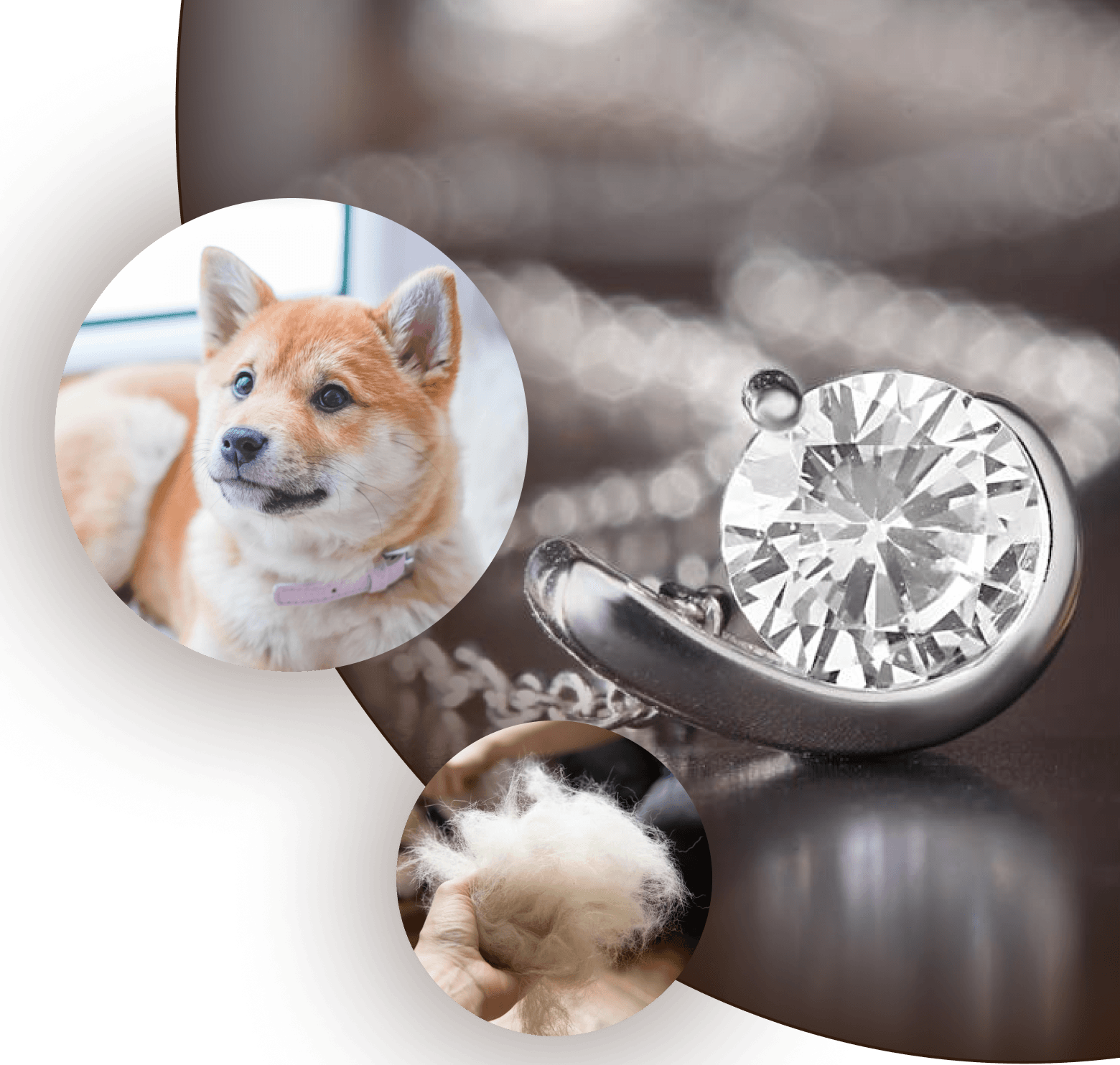 Furever Diamond Hero Image