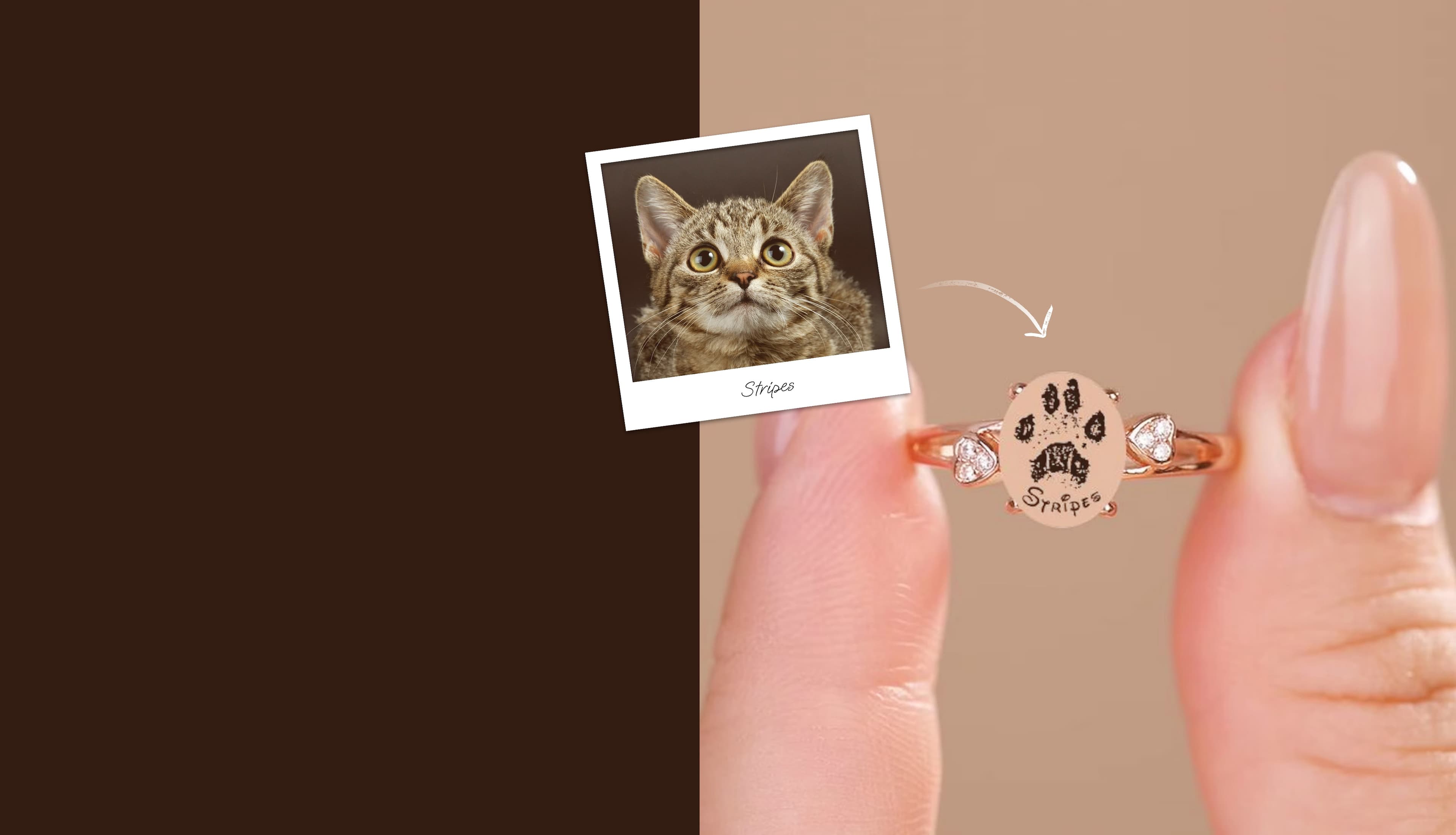 Furever Diamond Hero Image